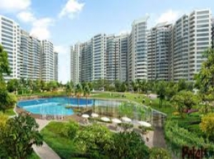 Property Dealer and Real Estate Agent in Greater Noida | Del